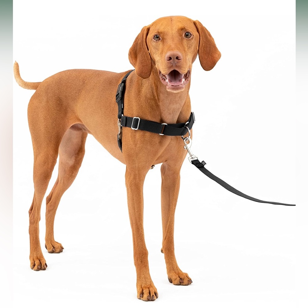 Easy Walk Dog Harness